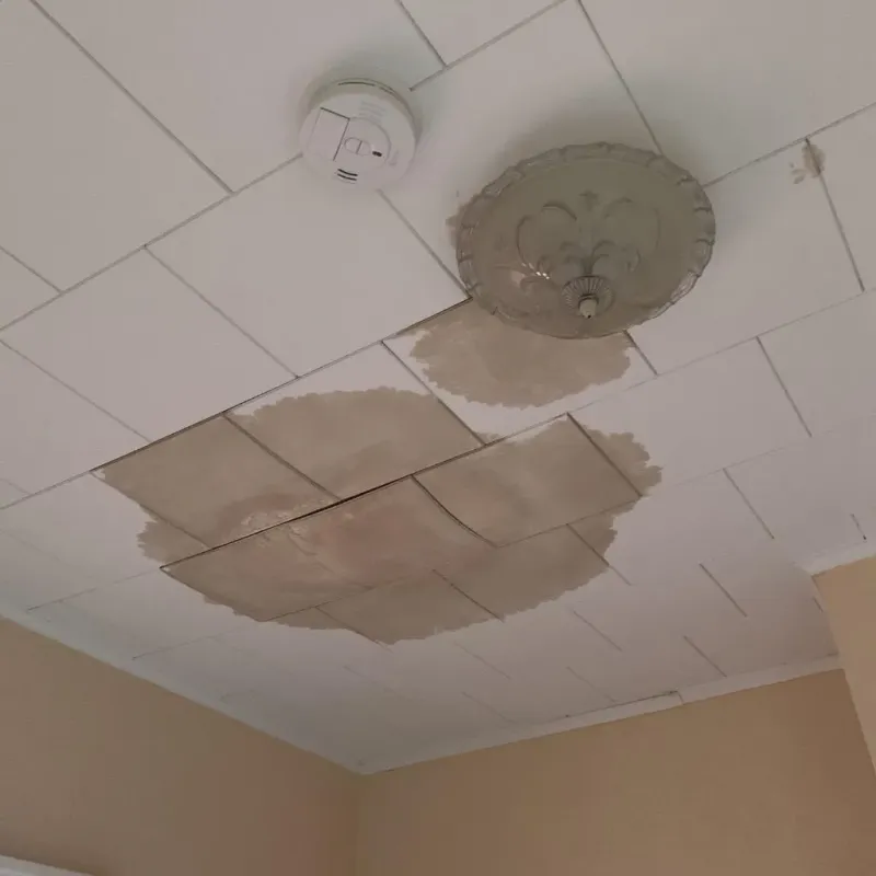 Ceiling Water Damage Repair in Highland Park, PA