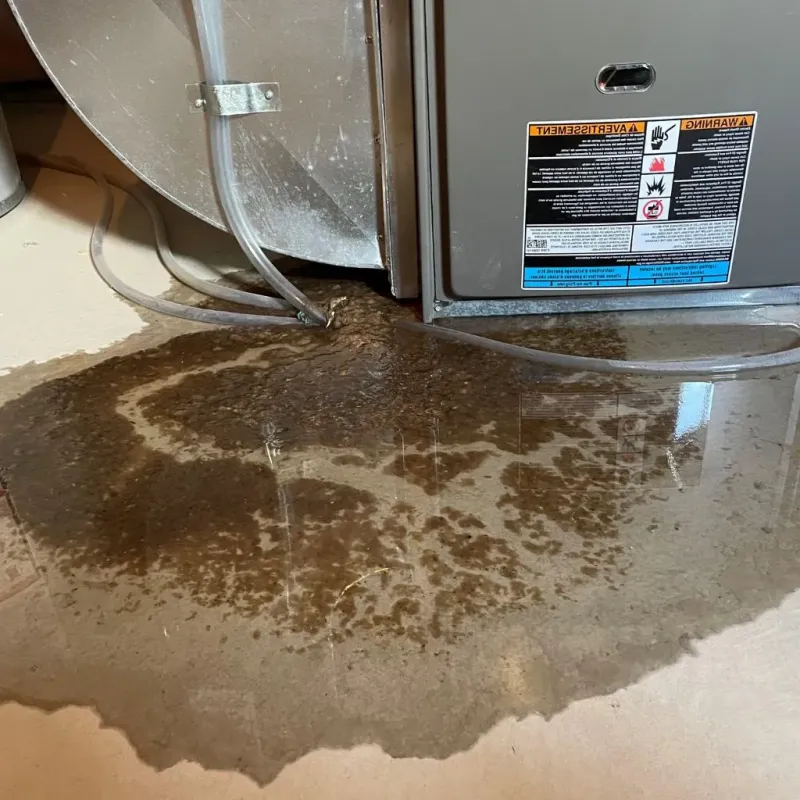 Pipe Burst and Leak Restoration in Highland Park, PA