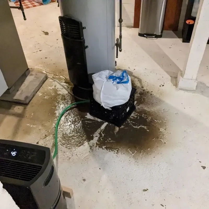 Sewage Backup Cleanup Service in Highland Park, PA